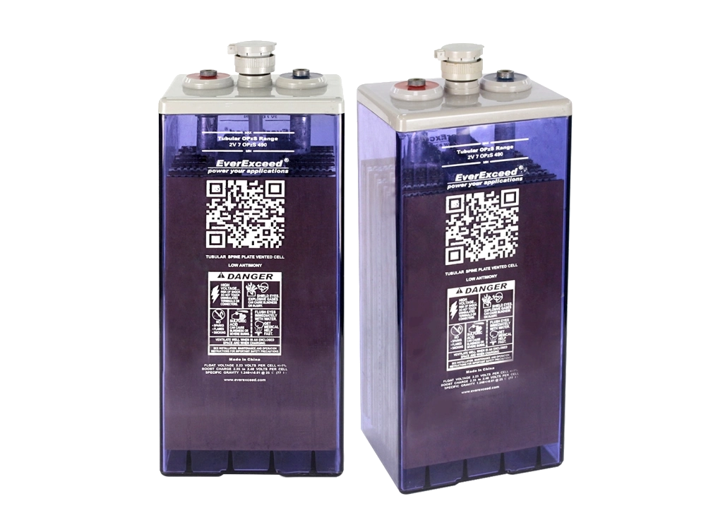 Аккумуляторная батарея EverExceed 2 OPzS 100 (2 OPzS 100)